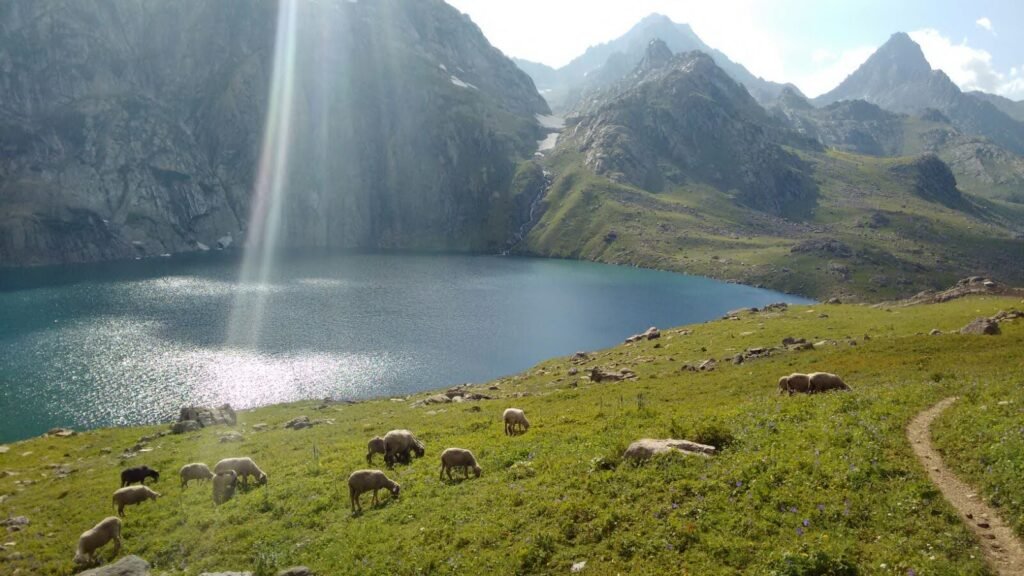 kashmir great lakes view tops kashmir treks bucketlist