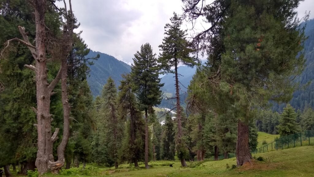 Flora and fauna in kashmir valley